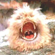 Illustration for article titled Jim Hensons Studio Readies The Dark Crystal Sequel For Pre-Production